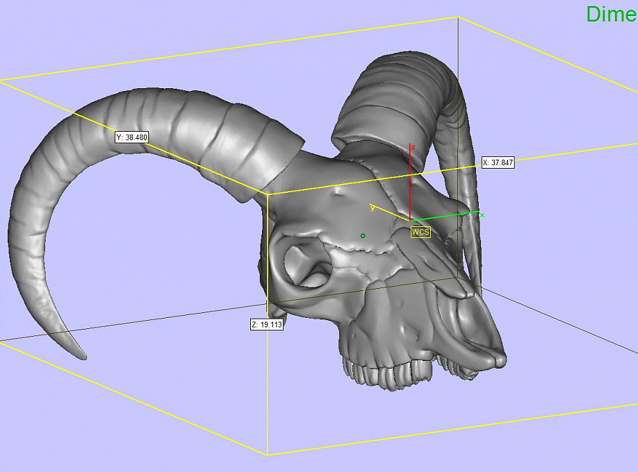 Череп козла