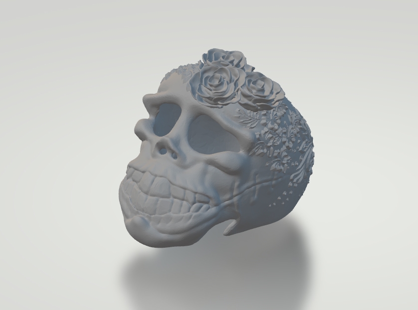 Çiçek Kafatası Sanatı (Plastik Aparattır!!!)