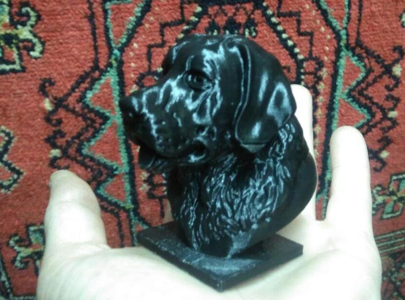 Labrador büstü (Plastik Aparattır!!!)