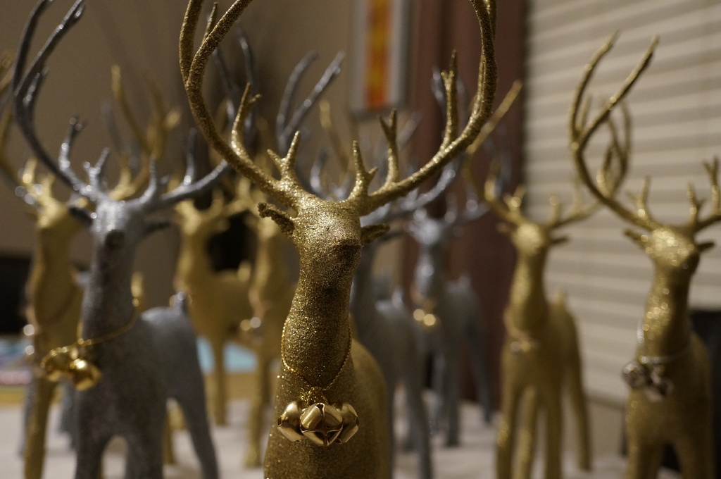 Yeni yıl geyiği (Plastik Aparattır!!!)