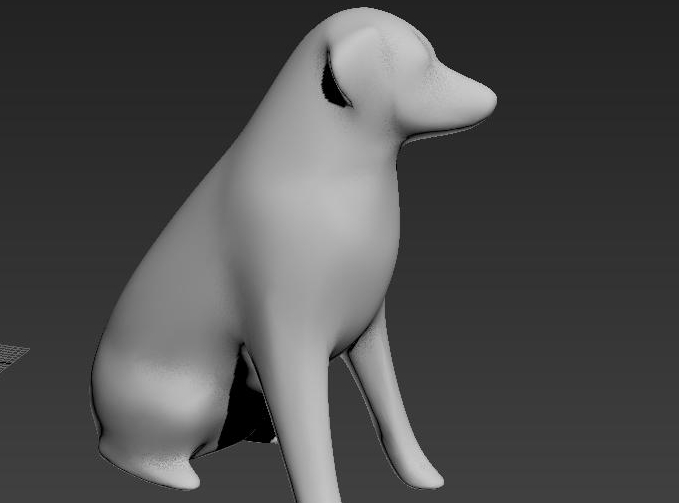 Labrador (Plastik Aparattır!!!)