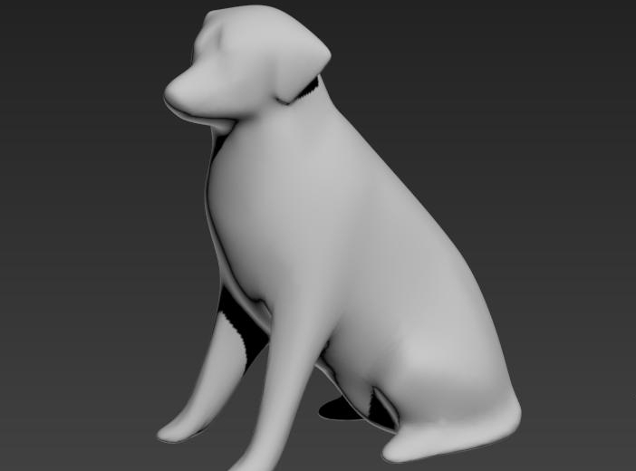 Labrador (Plastik Aparattır!!!)
