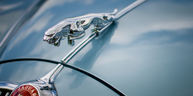 Ищу модель волка в прыжке на капот авто