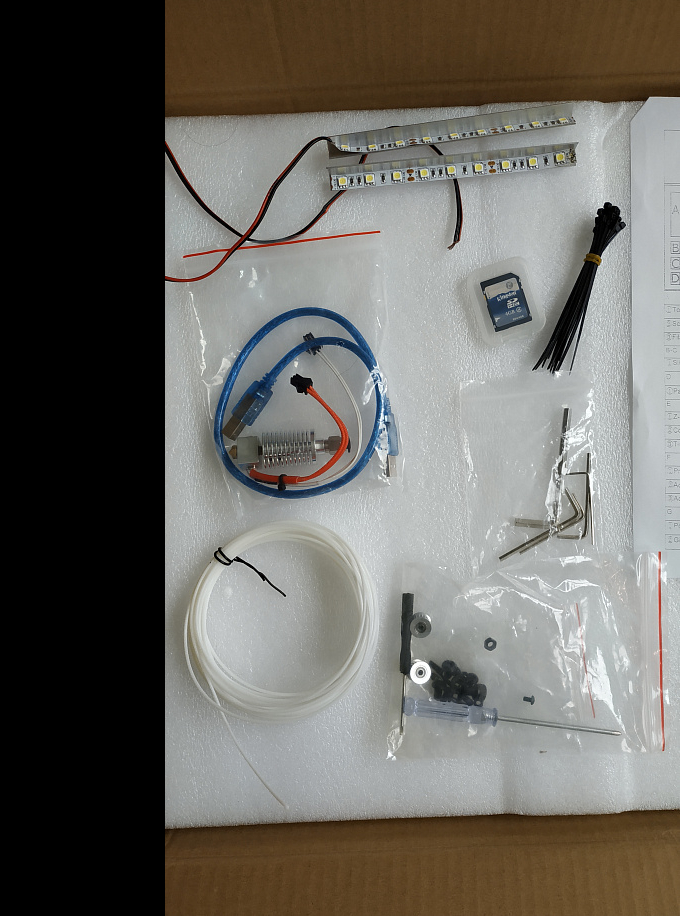 Flying Bear Ghost Flying Bear Ghost