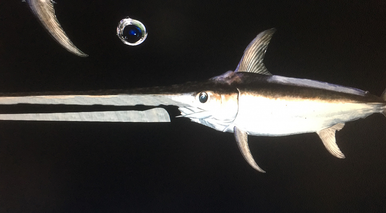 наложить jpg текстуры на модель obj  наложить jpg текстуры на модель obj