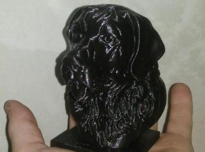 Labrador büstü (Plastik Aparattır!!!)