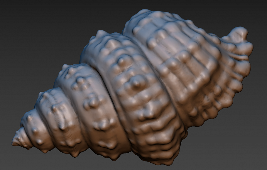 3-D Раковина Морская куплю этот файл он на 30 странице срочно помогите 