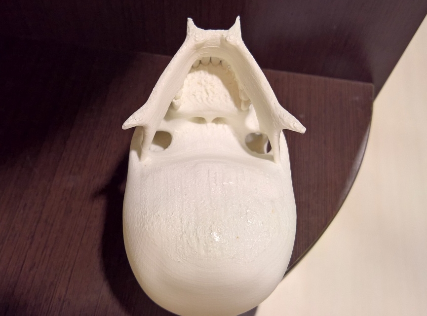 Череп дьявола