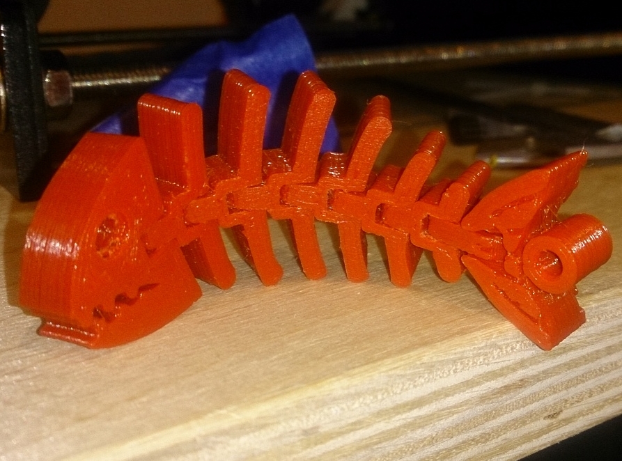 kuyruğunda halka bulunan bir "ringa" balığının iskeleti (Plastik Aparattır!!!)