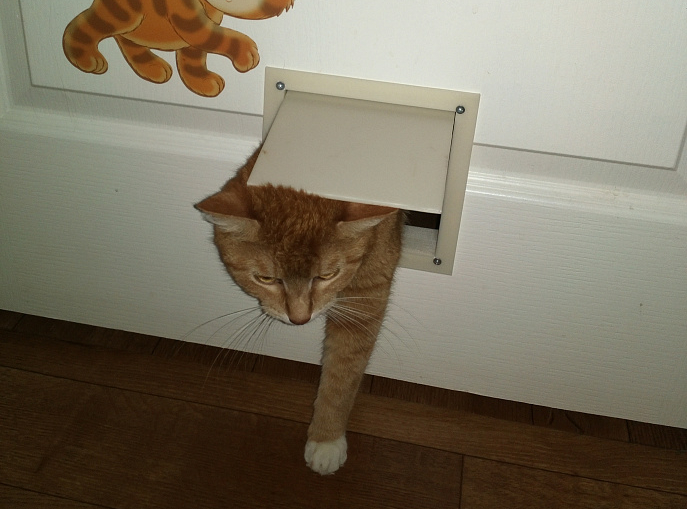 kedi kapısı (Plastik Aparattır!!!) kedi kapısı (Plastik Aparattır!!!)