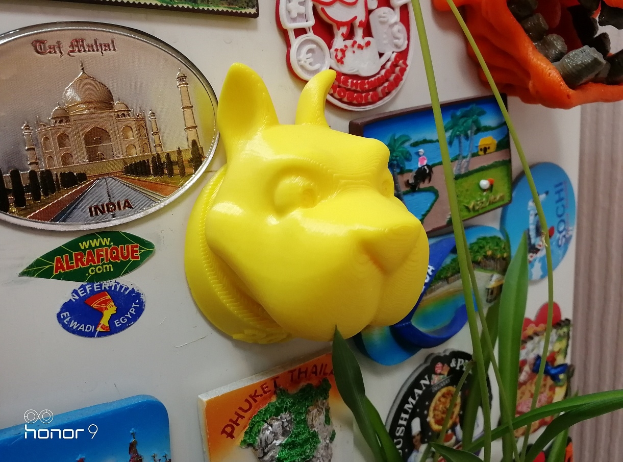 Köpek mıknatısı, 2018'in sembolü (Plastik Aparattır!!!)