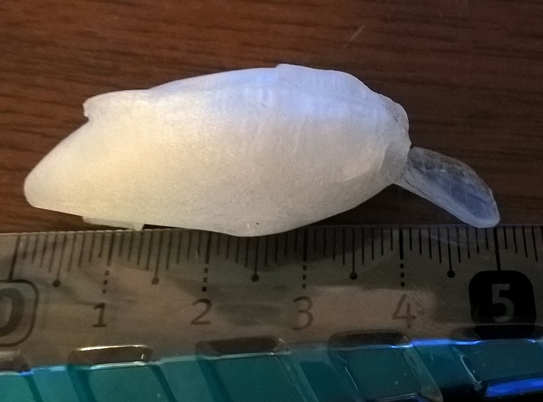 Megabass Bebek Griffon 2 (Plastik Aparattır!!!)