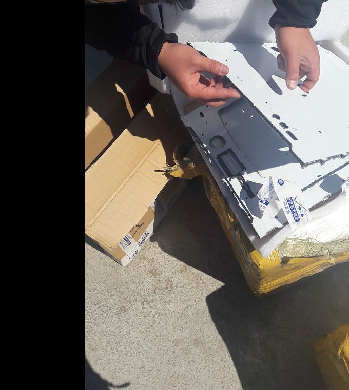 Продам Ultimaker 2 новый!