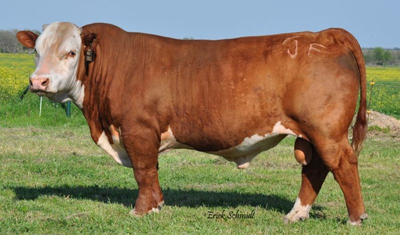 Моделирование