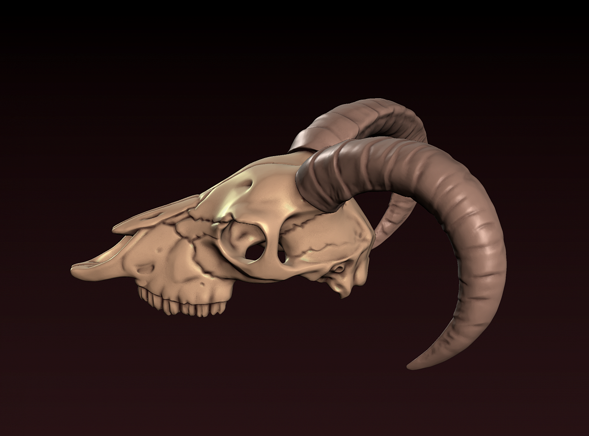 Череп козла