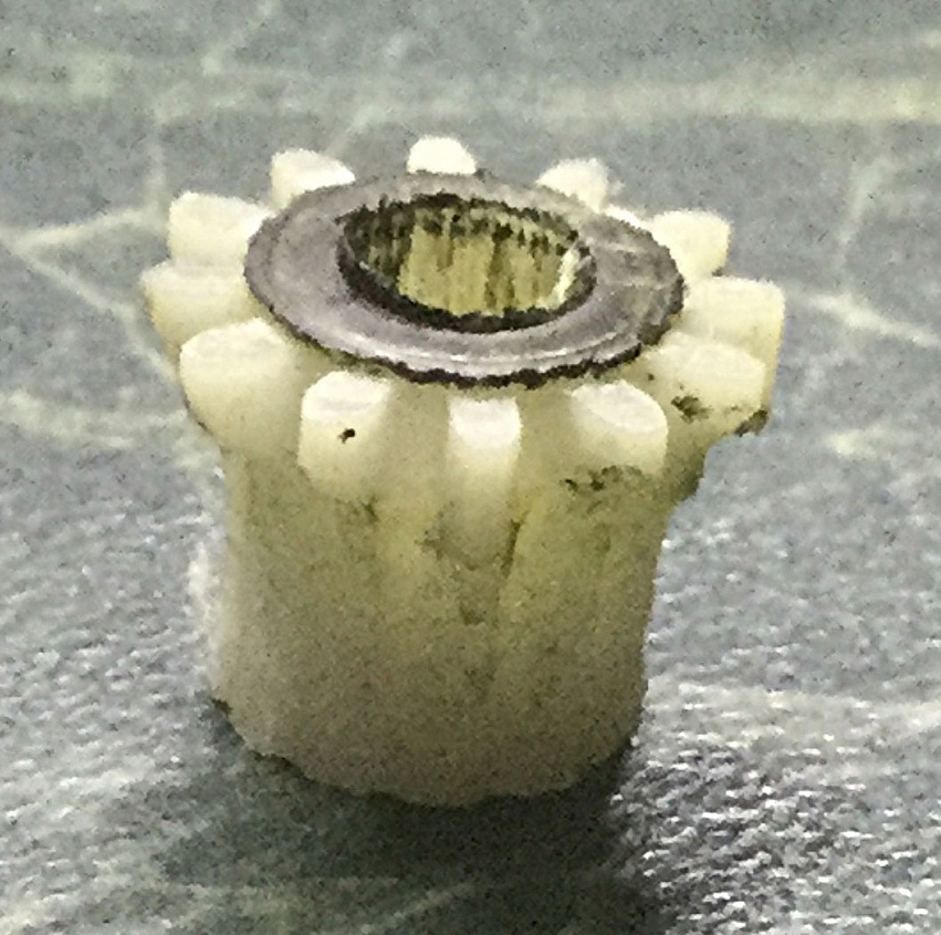 Требуется печать шестерни ф13 х 11 мм. Москва (СВАО). Требуется печать шестерни ф13 х 11 мм. Москва (СВАО).