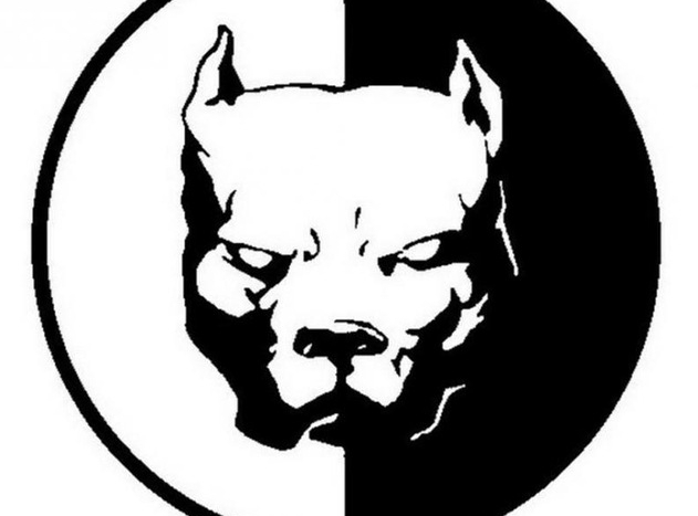 Gösterinin Logosu (Plastik Aparattır!!!)