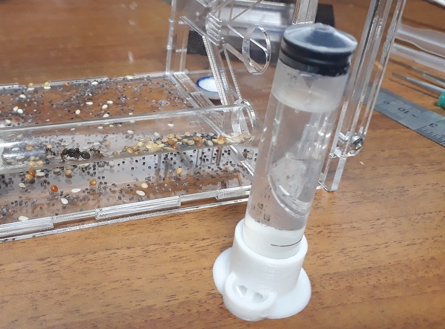 Böcek içen (Plastik Aparattır!!!)