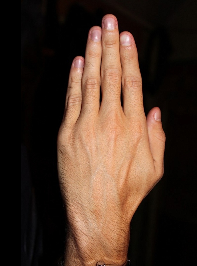 Нужна модель ладони Нужна модель ладони