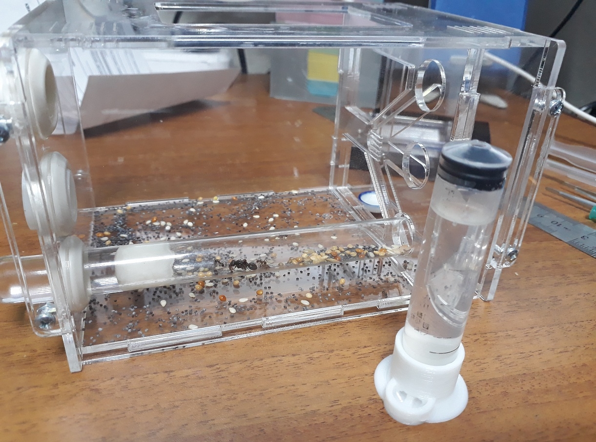 Böcek içen (Plastik Aparattır!!!)