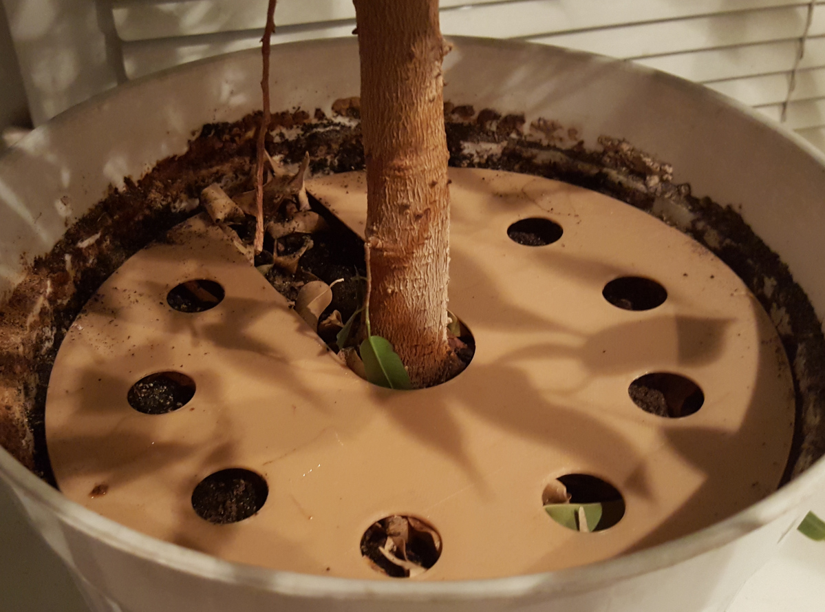 Anti-Cat tencere kapağı (Plastik Aparattır!!!)