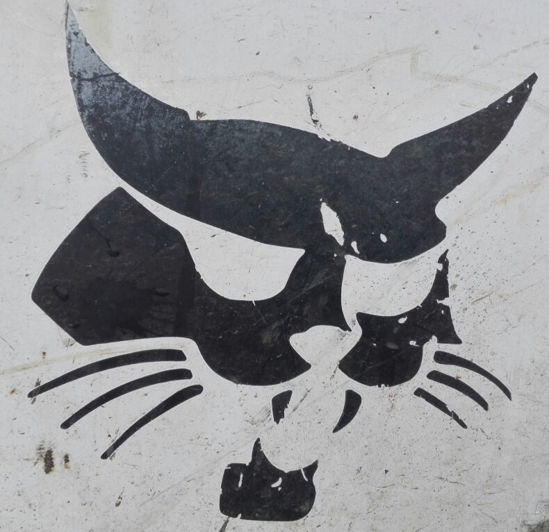 засуньте пожалуйсто это