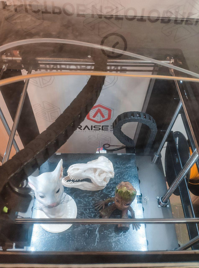  3D принтер Raise3D N2 Plus Dual 