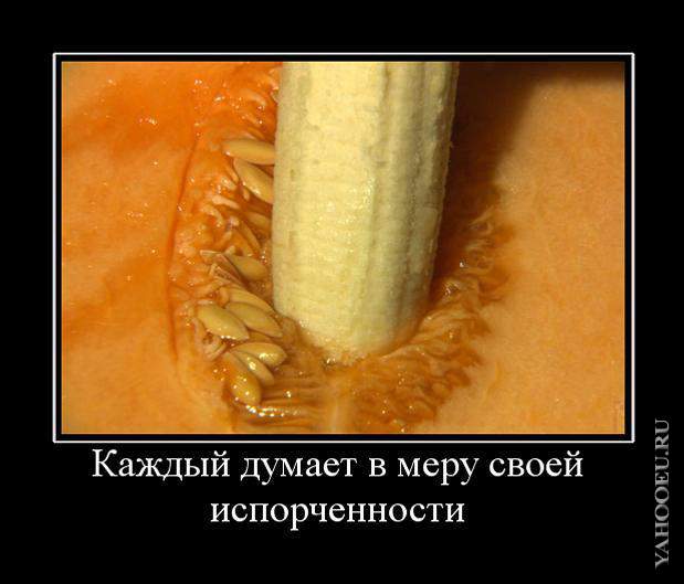 каждый мыслит в меру своей испорченности. каждый работает на себя в меру своего понимания. каждый думает по мере своей испорченности. каждый думает в меру. каждый судит в меру своей испорченности.