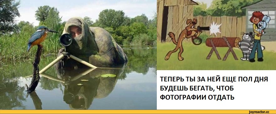 Теперь п. Простоквашино фотографию отдать. Бегать чтобы фотографию отдать. Бегать чтобы фотографию отдать Простоквашино. Фотоохота Простоквашино.