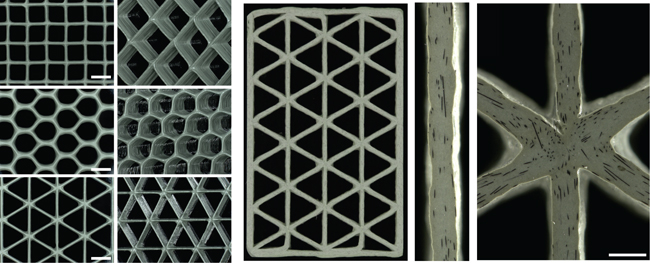Различные целлюлярные структуры, выполненные при помощи 3D-печати из эпоксидных композитов с углеродными волокнами