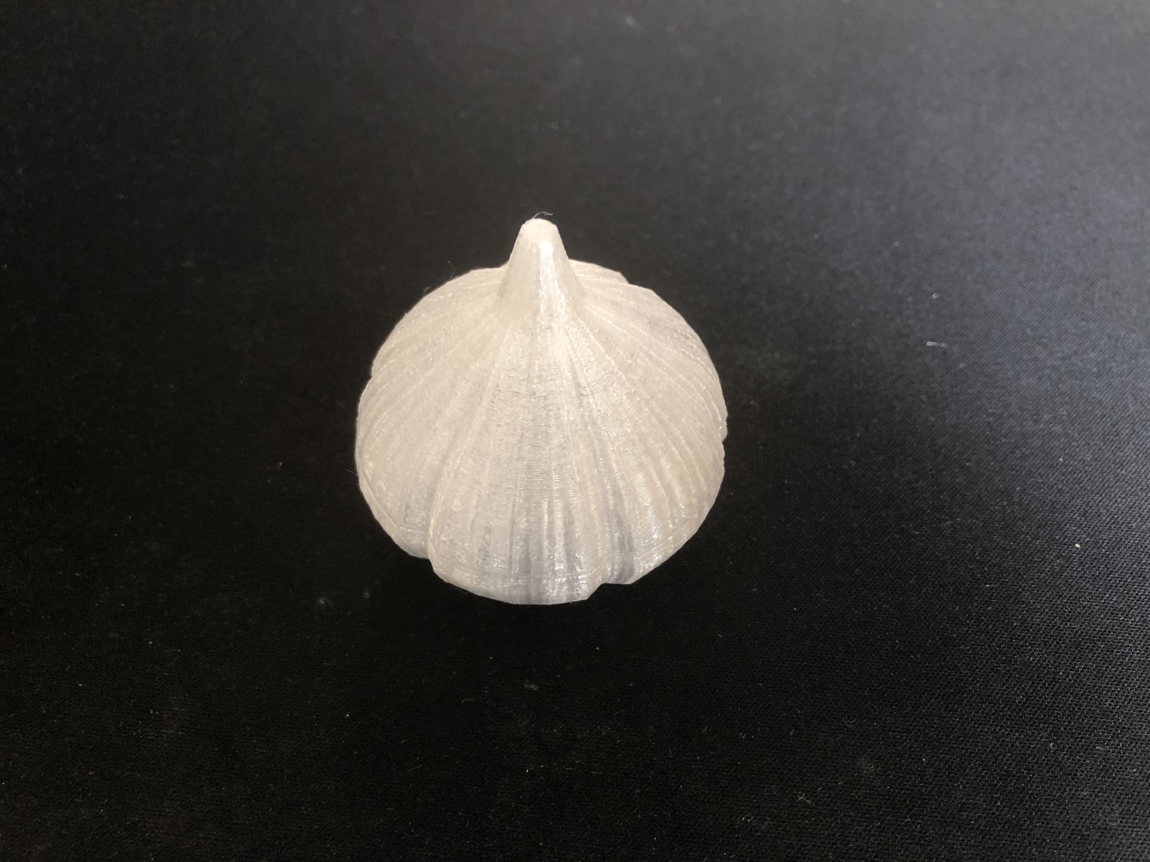 Sarımsak - 3D Bulmaca (Plastik Aparattır!!!)