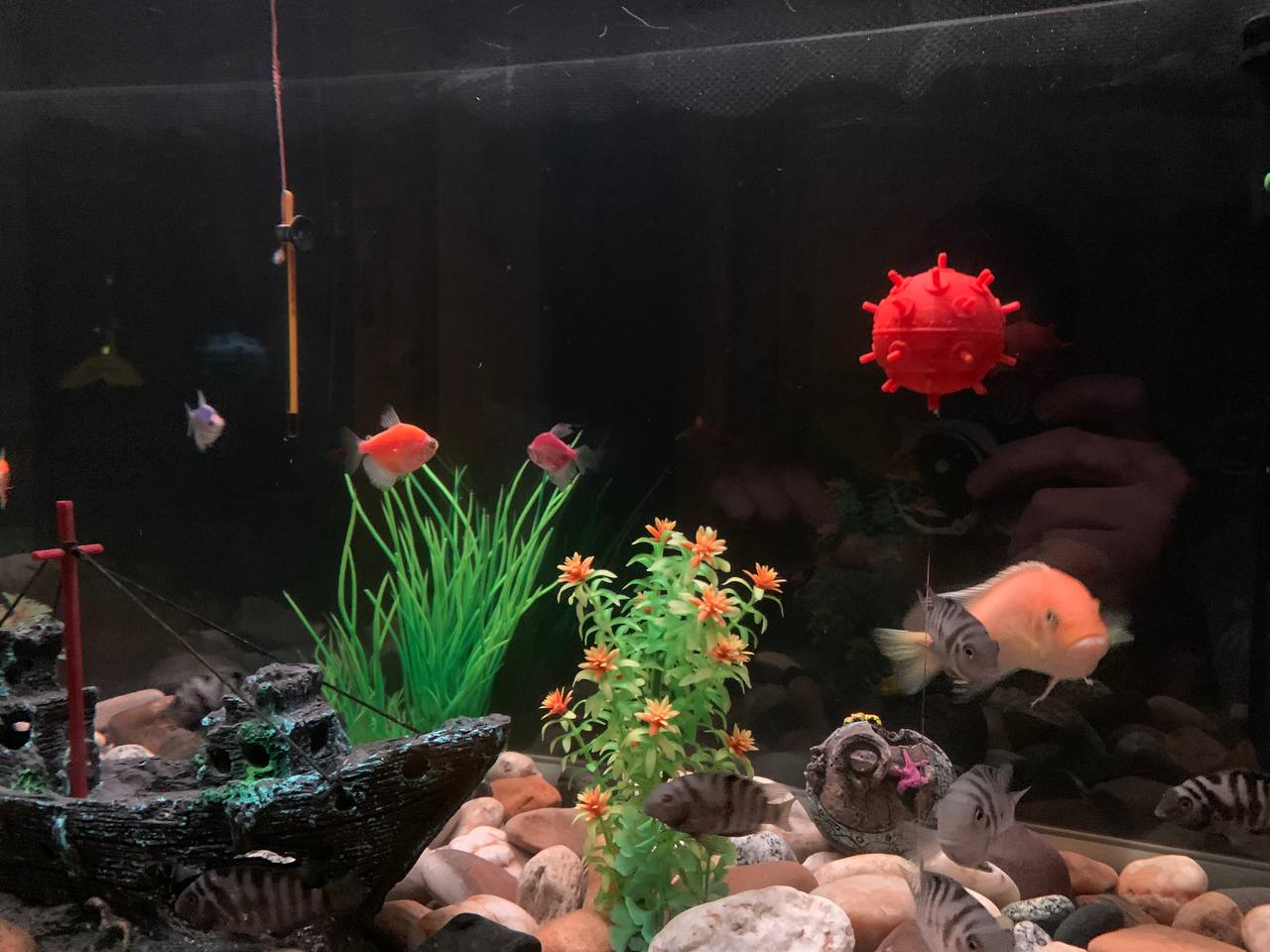 Akvaryum için deniz madeni ... (Plastik Aparattır!!!)