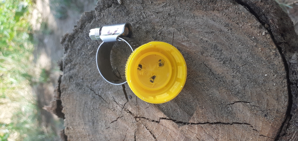 Alt Soda'dan Cork için geri dön (Plastik Aparattır!!!) Alt Soda'dan Cork için geri dön (Plastik Aparattır!!!)