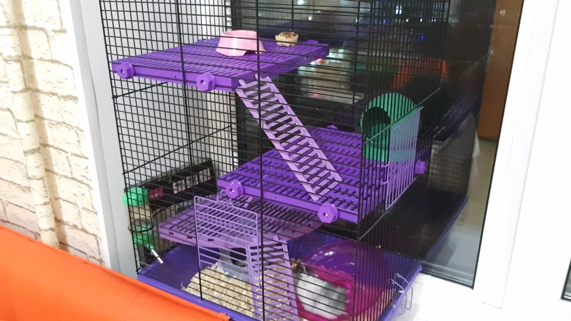 Bir kafeste raflar (bir hamster için) (Plastik Aparattır!!!)