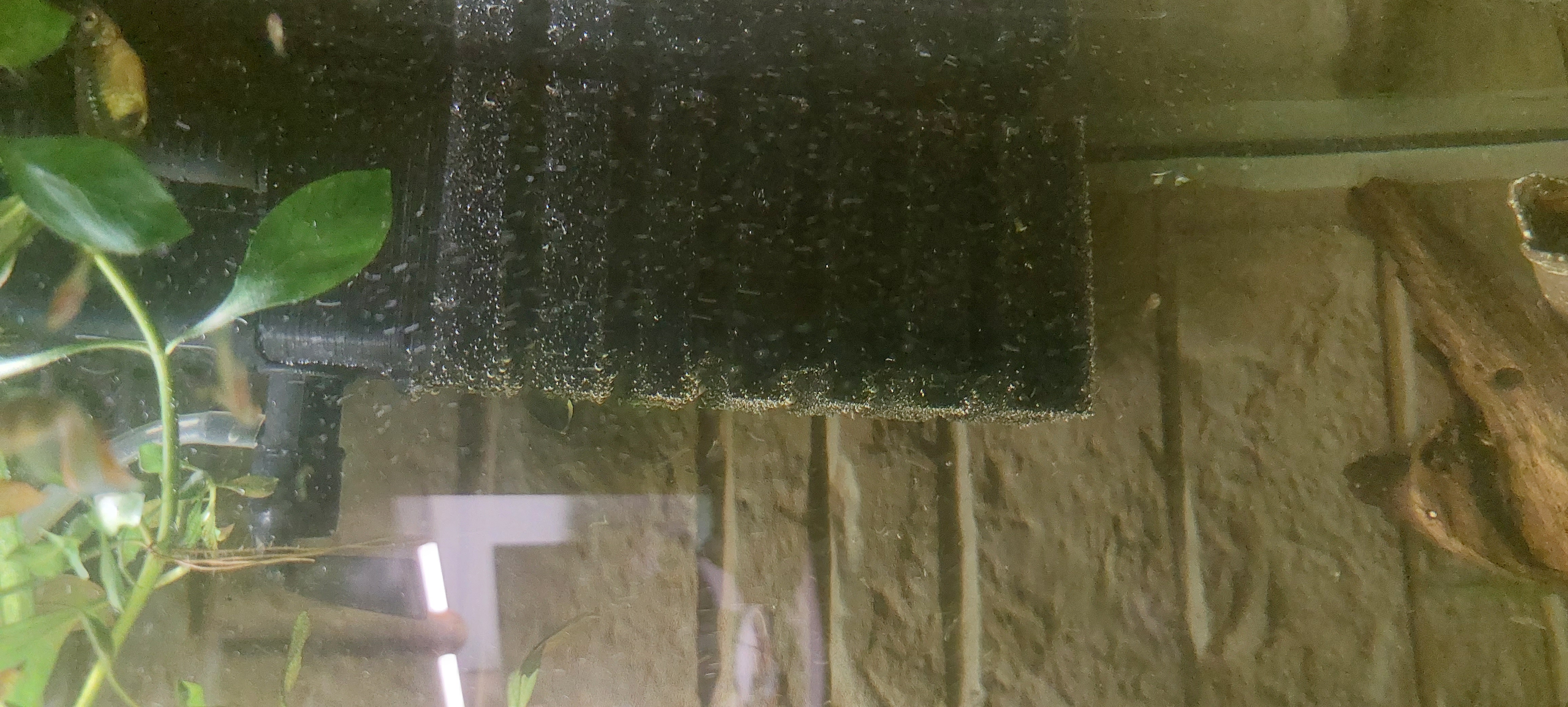 Aqua Filtre Homefish AP -000 (Plastik Aparattır!!!)