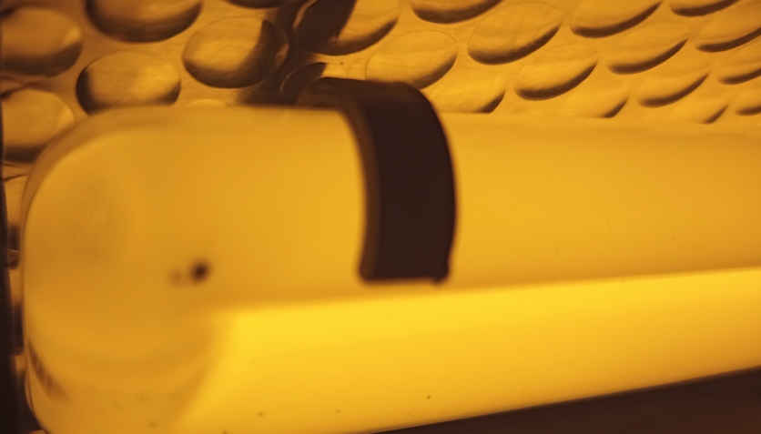 G23 / 2G7 lamba tutucu (Plastik Aparattır!!!)