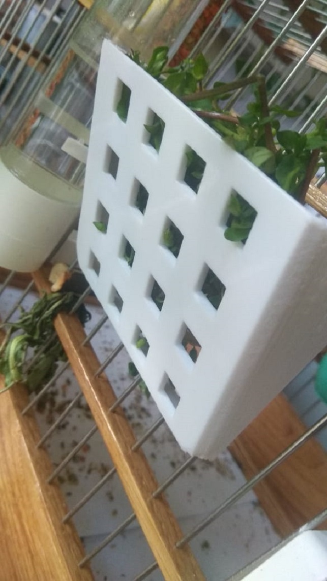 Kanarya veya diğer kuşlar için bir besleyici. (Plastik Aparattır!!!)