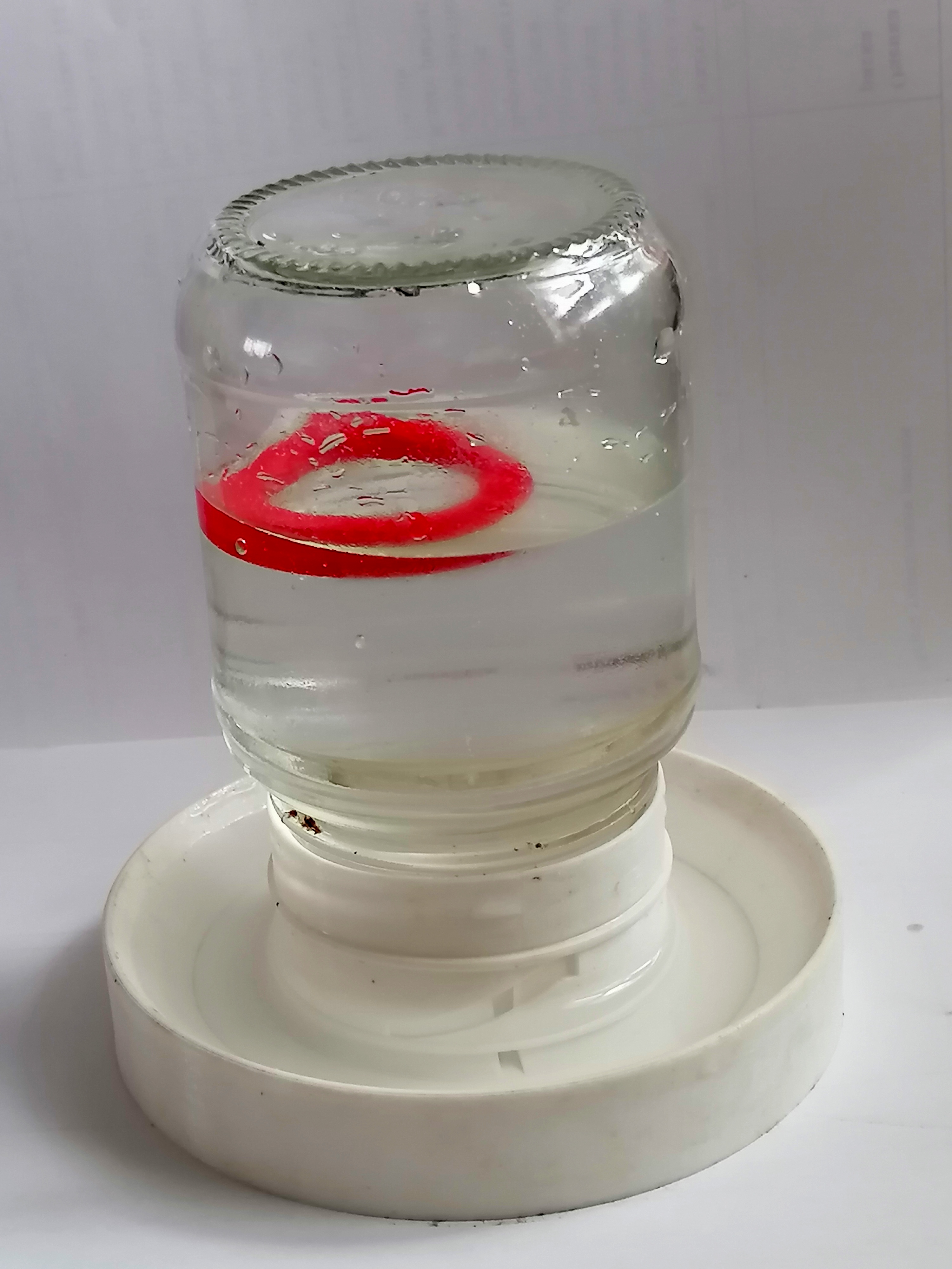 52 mm çapında dişli boğazlı 0.25 litrelik bir cam kavanoz için küçük tavuklar için otomatik ayarlanabilir vakum içen. (Plastik Aparattır!!!)