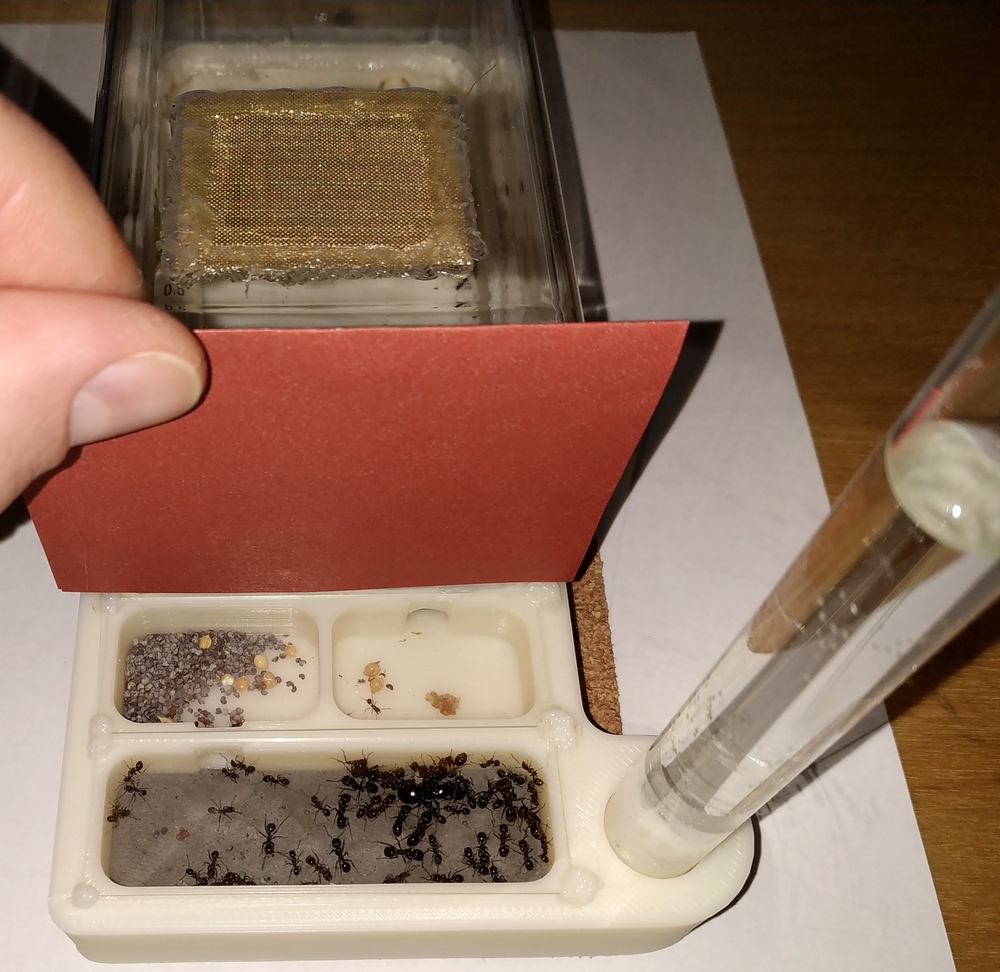 Formicarium No.1 (Plastik Aparattır!!!)