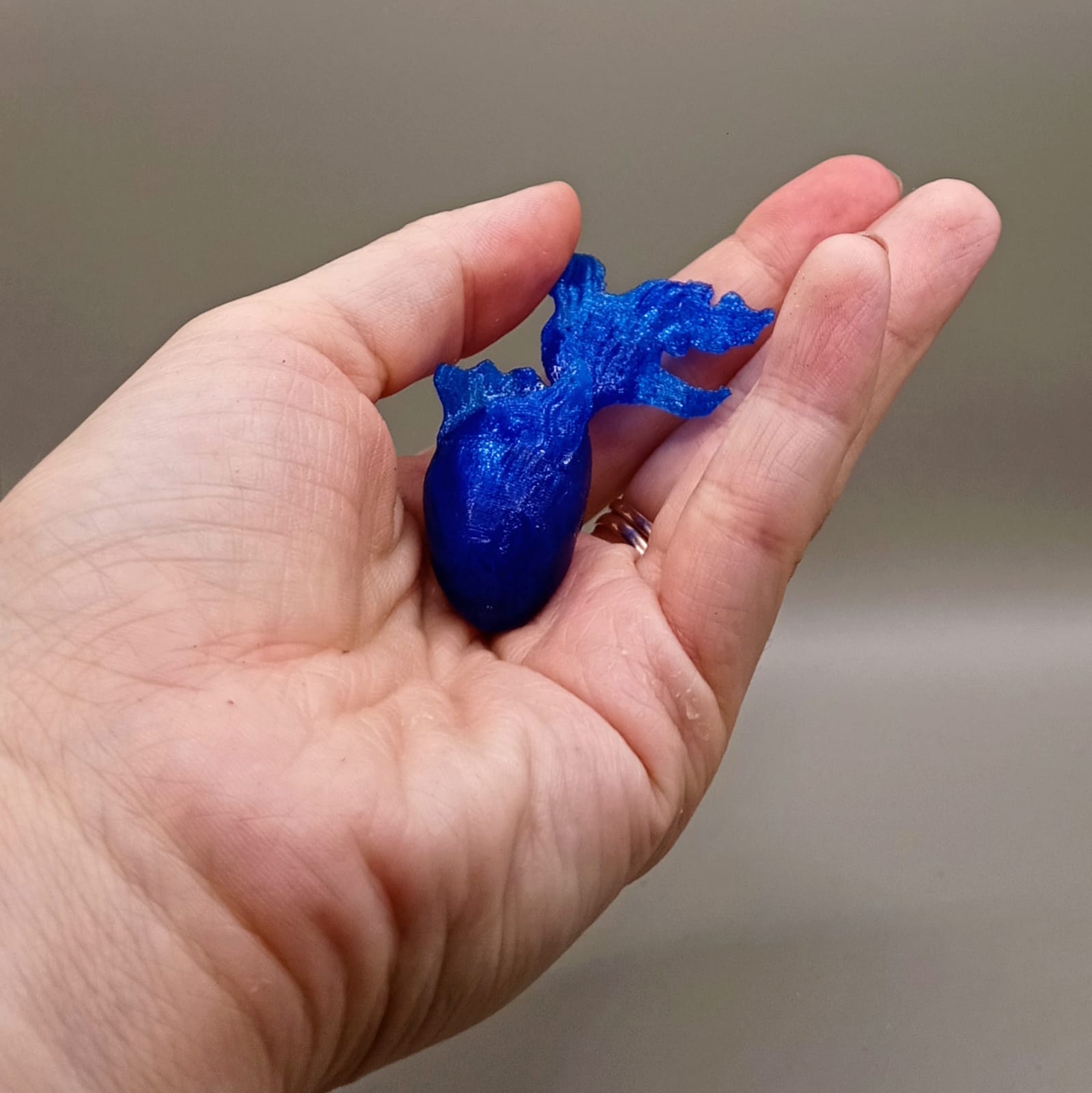 Çok karmaşık balık (Plastik Aparattır!!!)