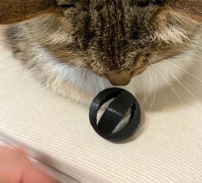 Bir kedi için bir oyuncak (Plastik Aparattır!!!)