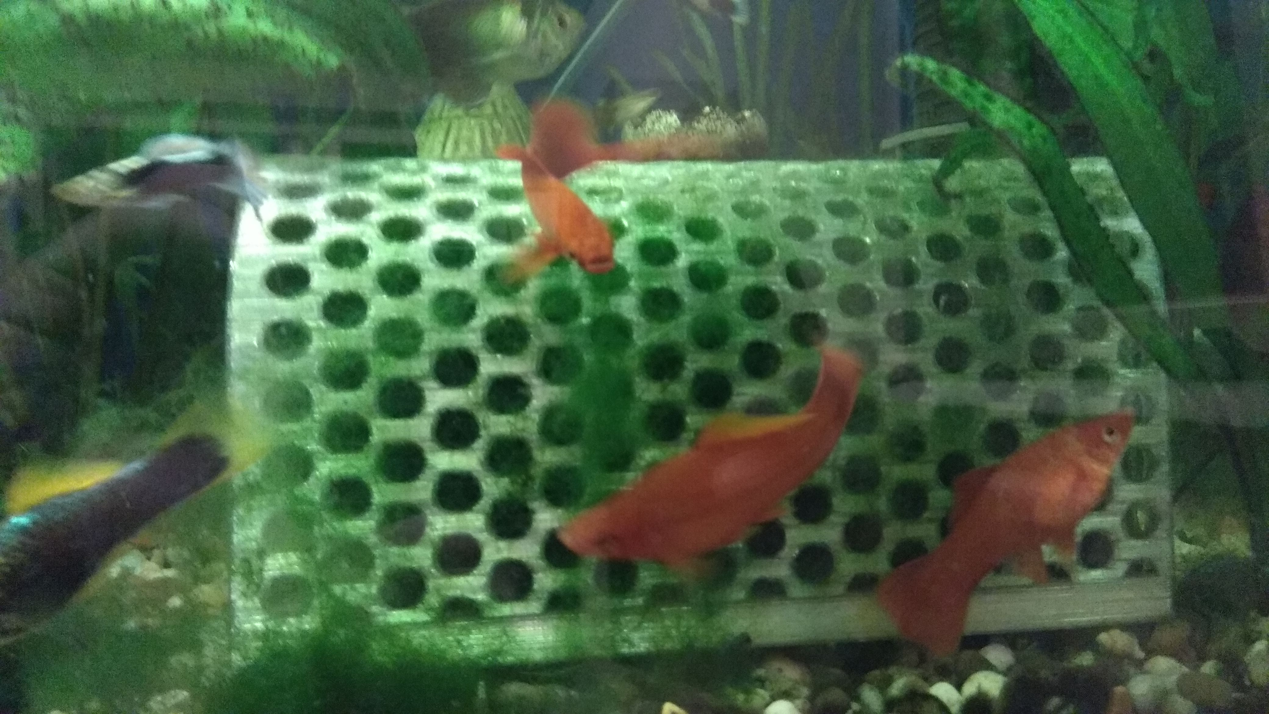 Rachatnik / Tırman Mossa (Plastik Aparattır!!!)