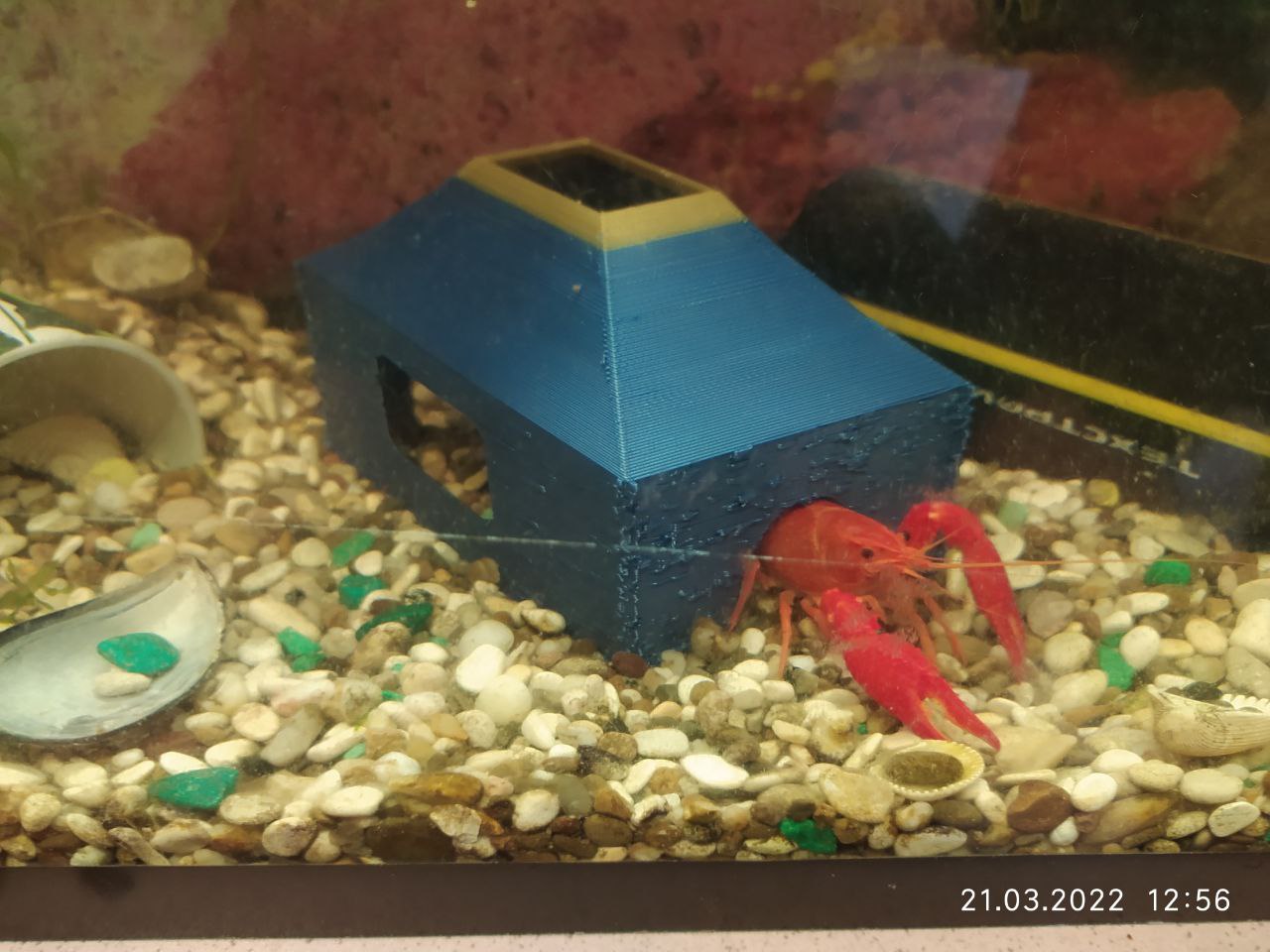 Raka evi (Plastik Aparattır!!!)