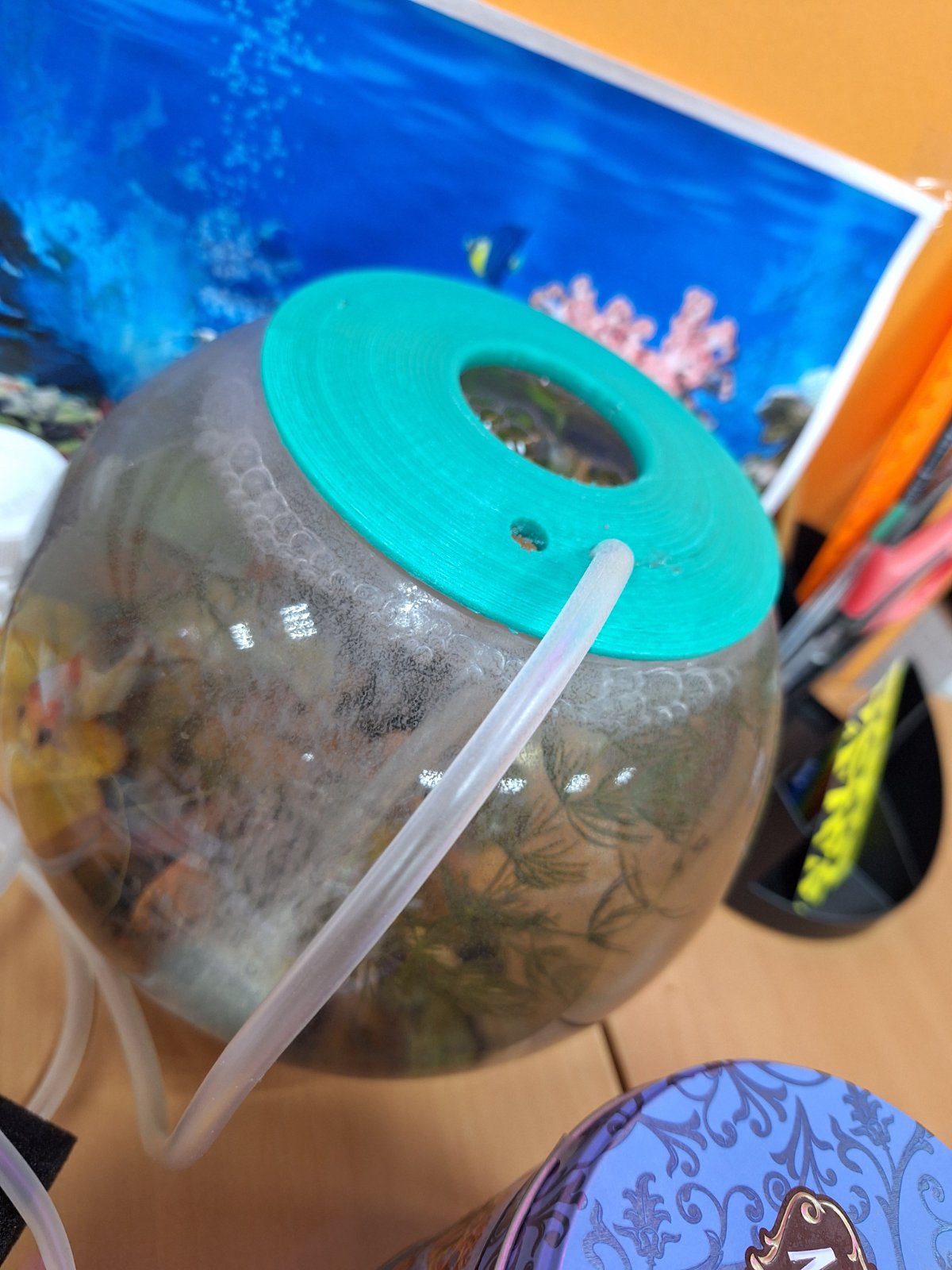 2 litre için bir topun akvaryum örtüsü (Plastik Aparattır!!!)