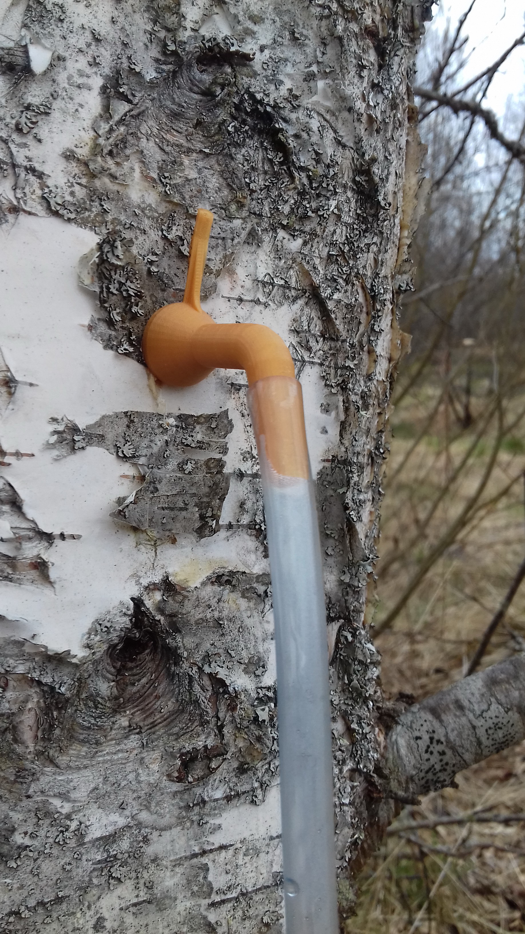 Huş ağacından kavanoza adaptör (Plastik Aparattır!!!)
