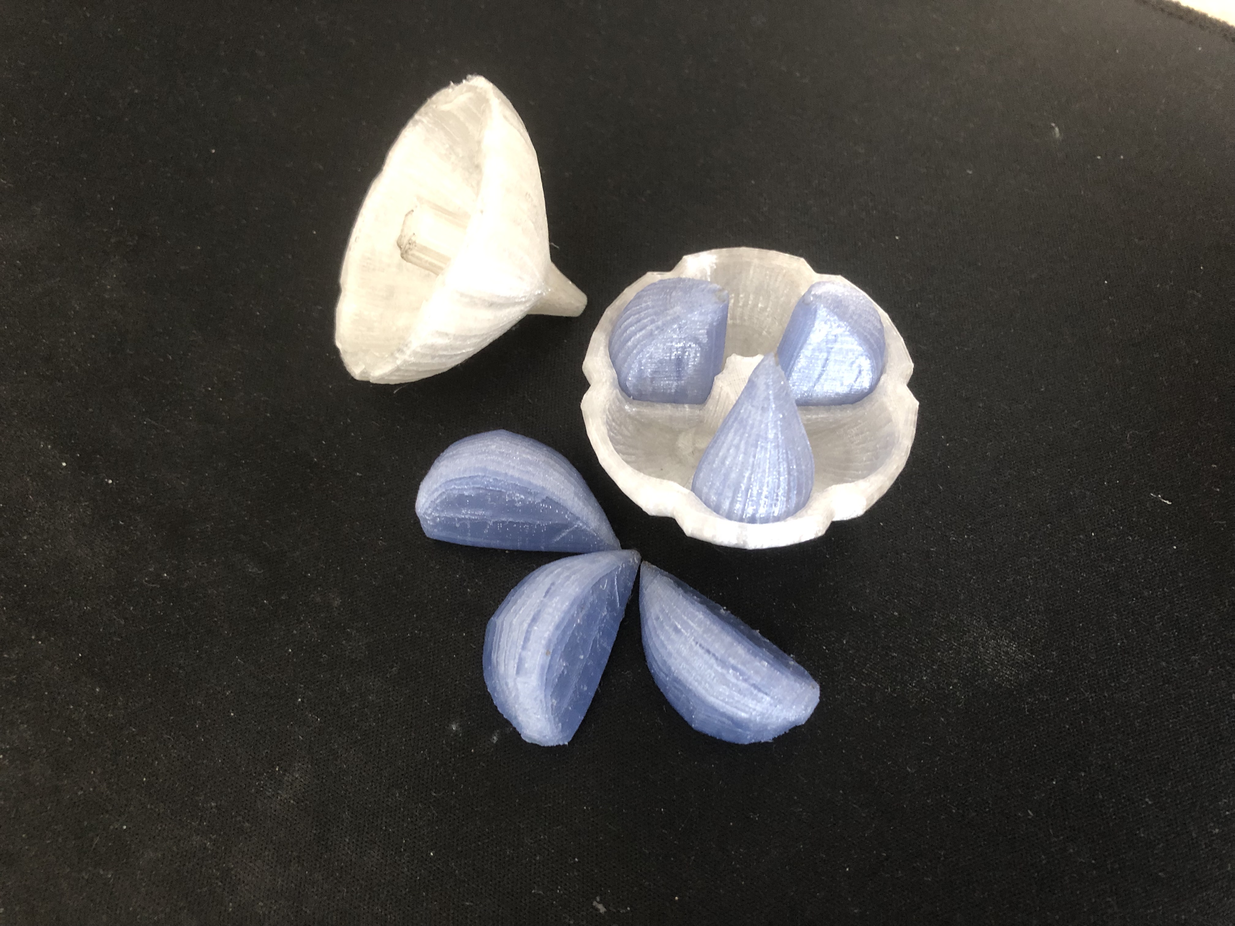 Sarımsak - 3D Bulmaca (Plastik Aparattır!!!)