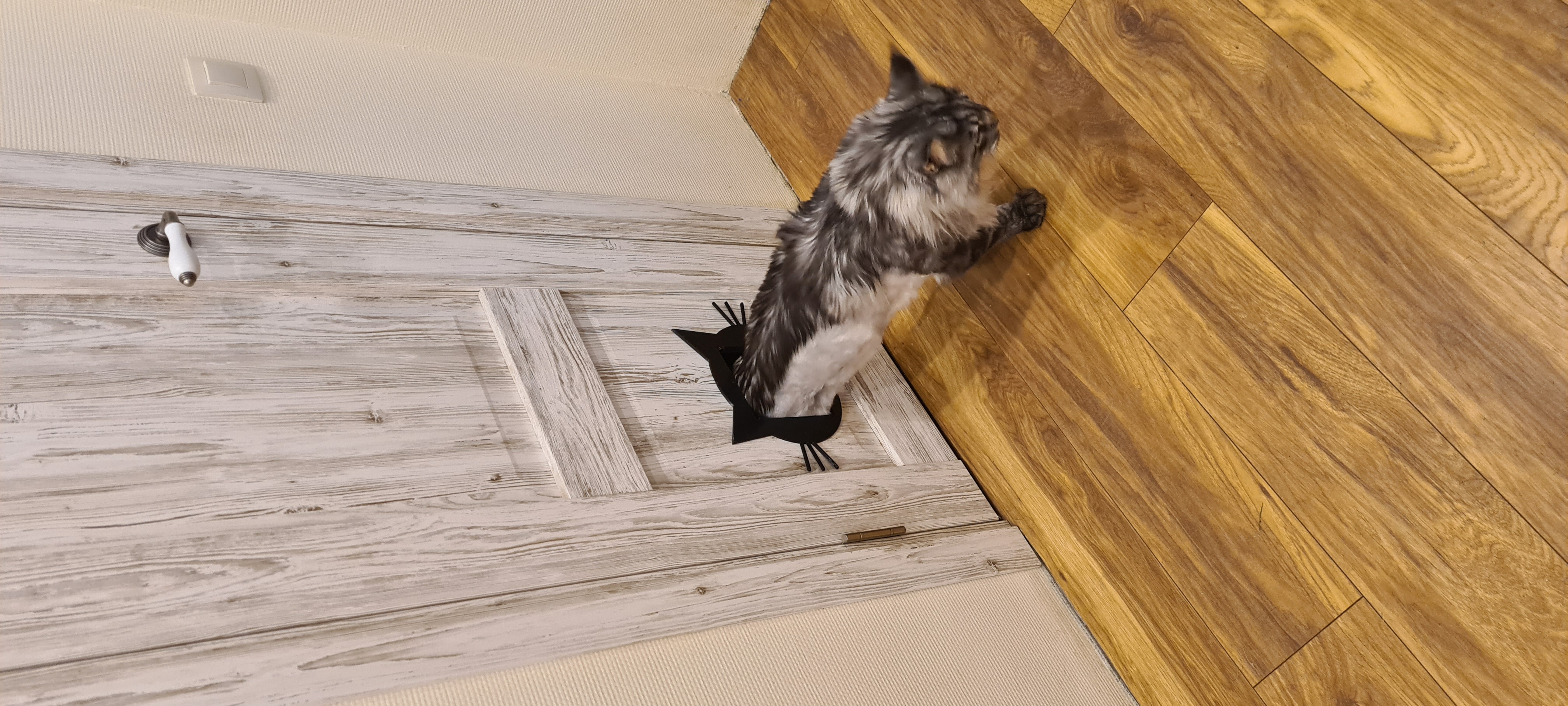 Bir kedi için bir kedi (Plastik Aparattır!!!)