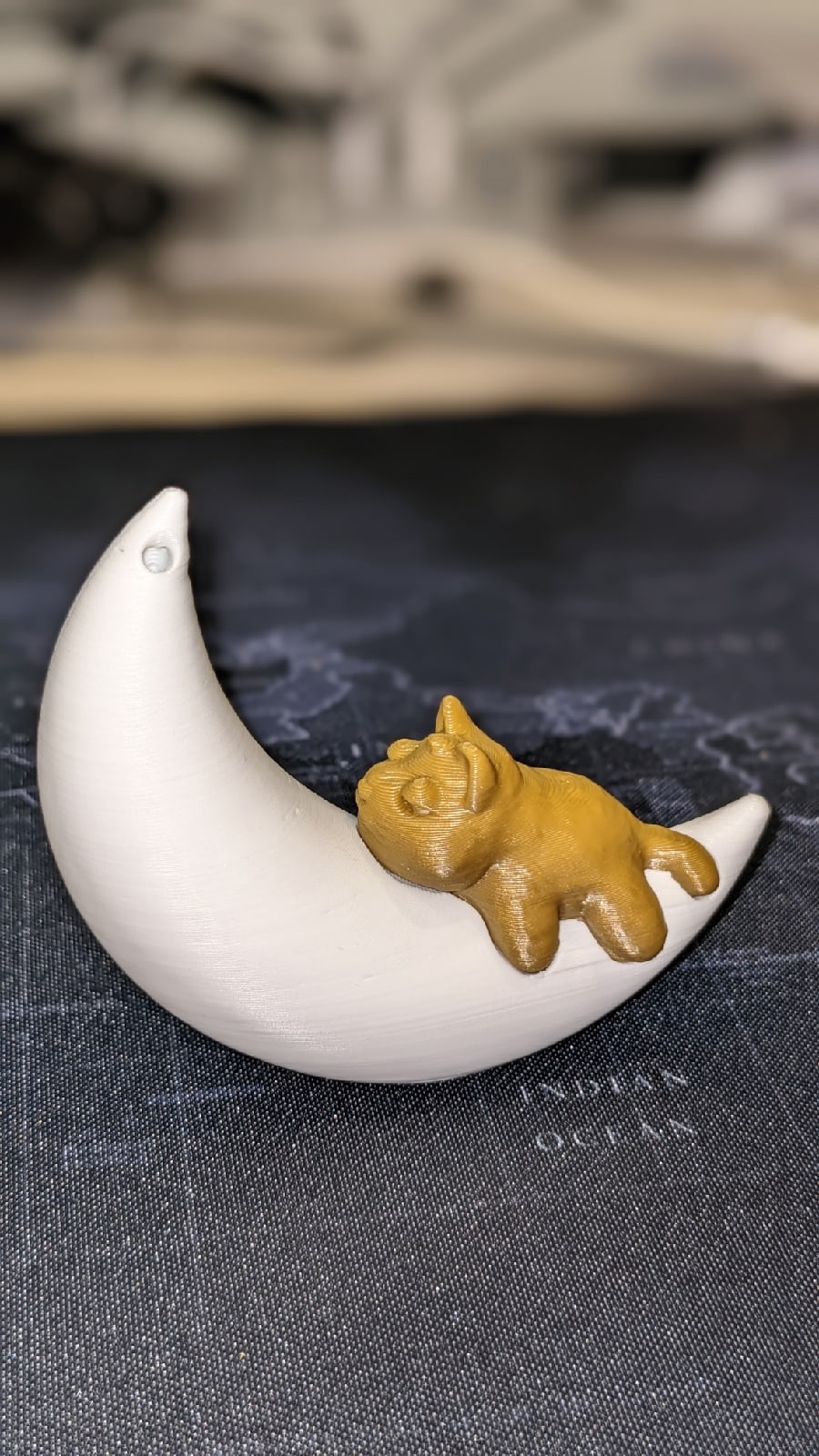 Bir ay boyunca bir kedi (Plastik Aparattır!!!)