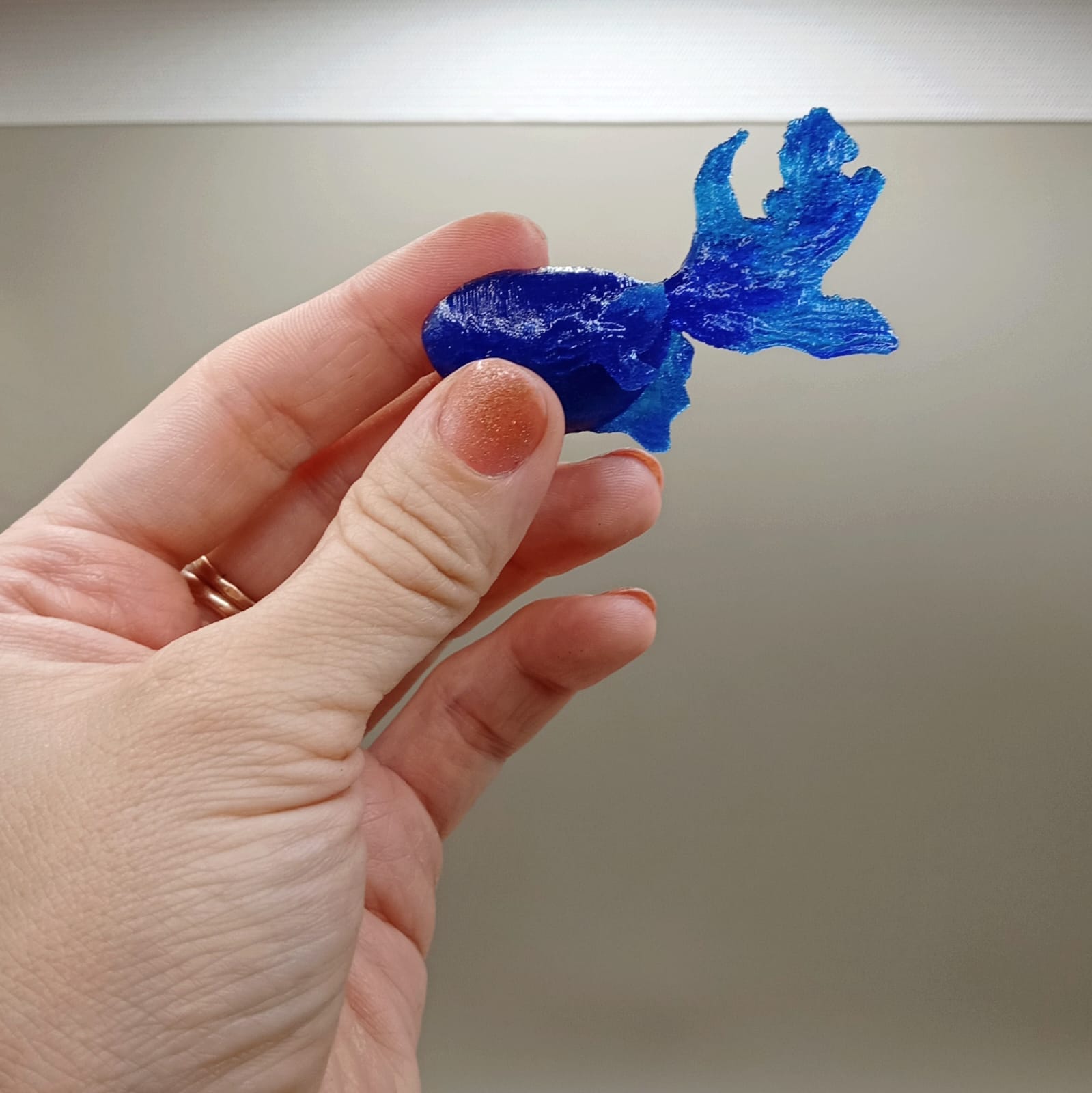 Çok karmaşık balık (Plastik Aparattır!!!)