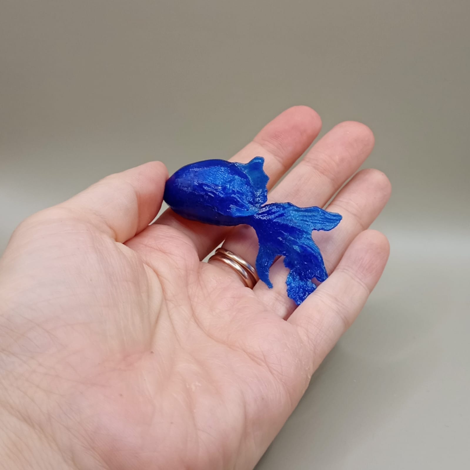 Çok karmaşık balık (Plastik Aparattır!!!)